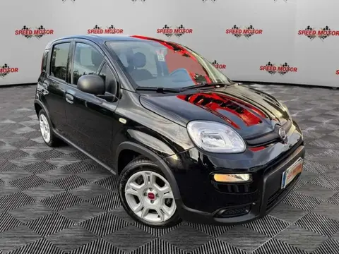 Used FIAT PANDA Hybrid 2023 Ad 