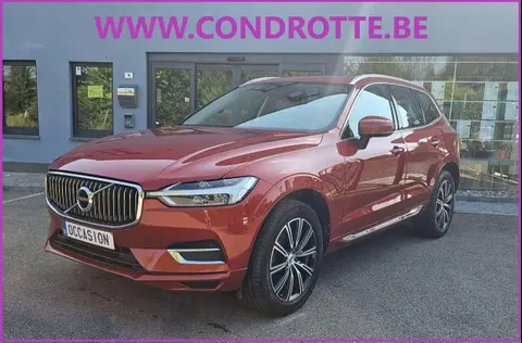 Annonce VOLVO XC60 Diesel 2020 d'occasion 