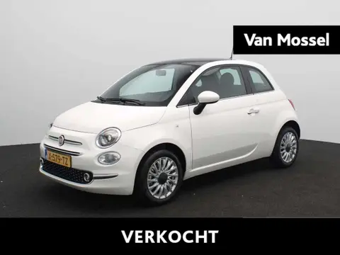 Used FIAT 500 Hybrid 2024 Ad 