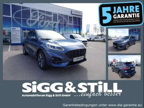 Used FORD KUGA Hybrid 2024 Ad 