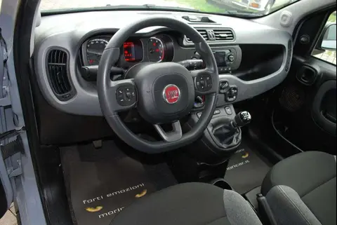 Annonce FIAT PANDA Hybride 2022 d'occasion 