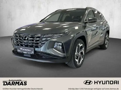 Used HYUNDAI TUCSON Hybrid 2023 Ad 