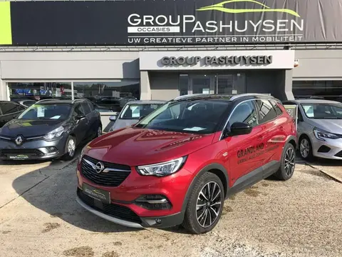 Used OPEL GRANDLAND Electric 2020 Ad 