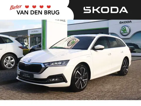 Annonce SKODA OCTAVIA Hybride 2021 d'occasion 