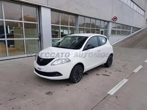 Used LANCIA YPSILON Hybrid 2024 Ad 