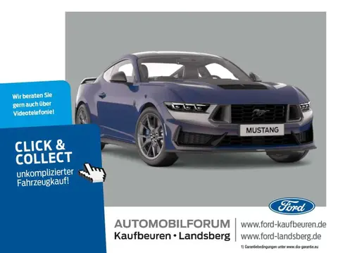 Used FORD MUSTANG Petrol 2024 Ad 