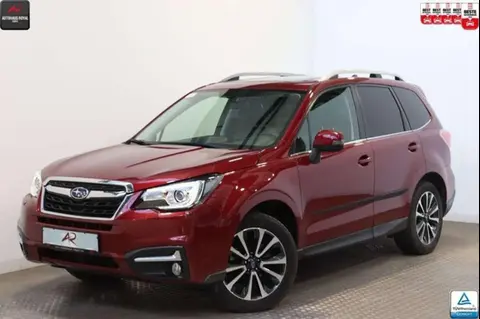 Used SUBARU FORESTER LPG 2016 Ad 