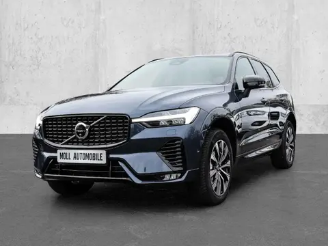 Annonce VOLVO XC60 Diesel 2024 d'occasion 