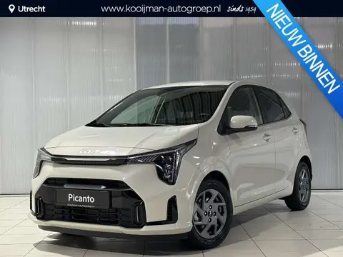 Used KIA PICANTO Petrol 2024 Ad 