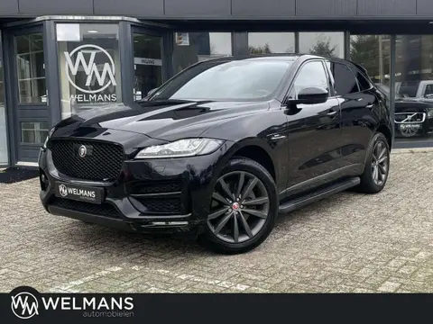 Used JAGUAR F-PACE Petrol 2017 Ad 