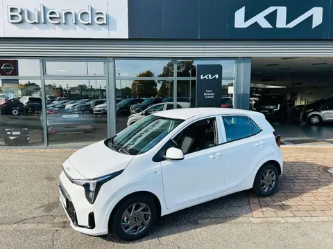 Used KIA PICANTO Petrol 2024 Ad 