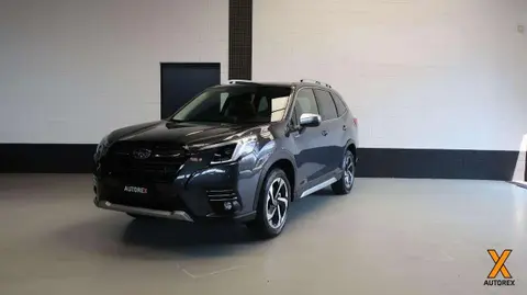 Annonce SUBARU FORESTER Hybride 2023 d'occasion 