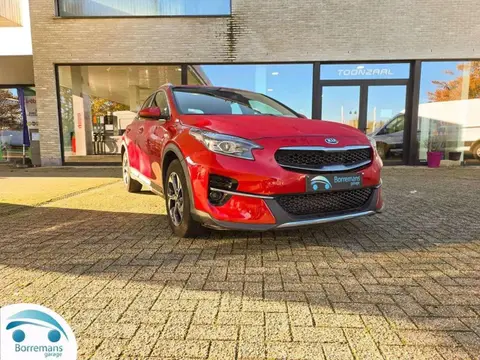 Annonce KIA XCEED Essence 2022 d'occasion 