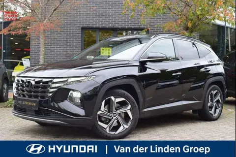 Used HYUNDAI TUCSON Hybrid 2021 Ad 