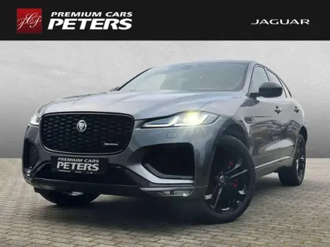 Used JAGUAR F-PACE Diesel 2023 Ad 