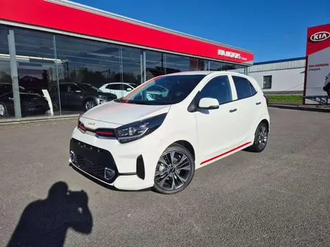 Annonce KIA PICANTO Essence 2024 d'occasion 