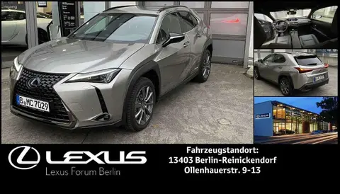 Used LEXUS UX Hybrid 2023 Ad 