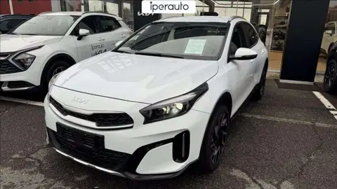 Used KIA XCEED Hybrid 2024 Ad 