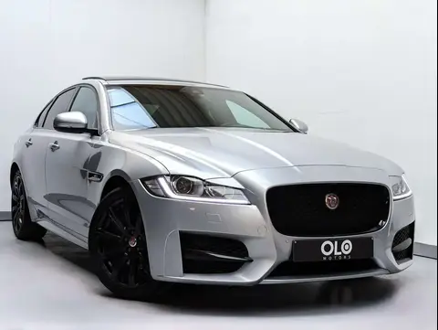 Used JAGUAR XF Diesel 2021 Ad 