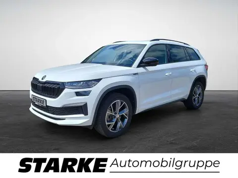 Used SKODA KODIAQ Diesel 2023 Ad 