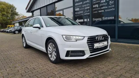 Used AUDI A4 Diesel 2019 Ad 