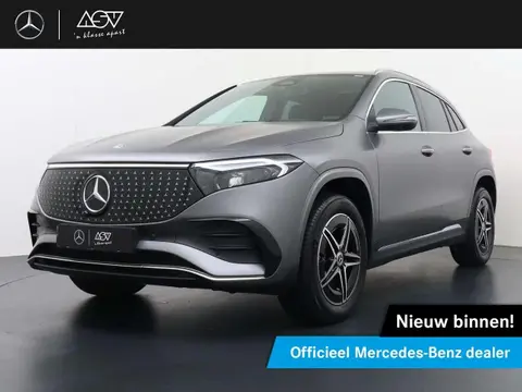 Annonce MERCEDES-BENZ EQA Électrique 2024 d'occasion 