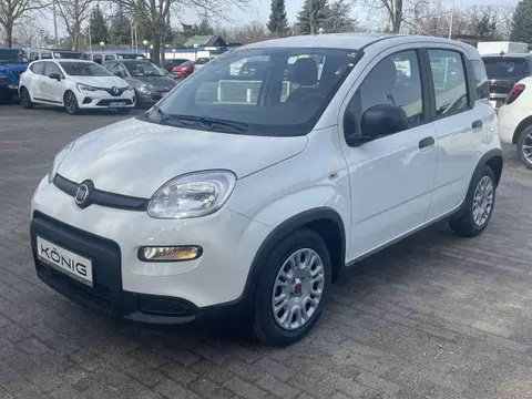 Used FIAT PANDA Petrol 2024 Ad 