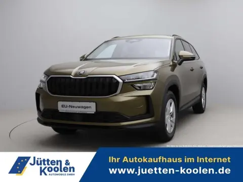 Used SKODA KODIAQ Hybrid 2024 Ad Germany