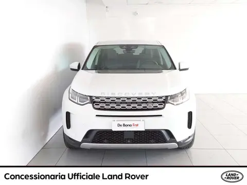 Used LAND ROVER DISCOVERY Hybrid 2021 Ad 