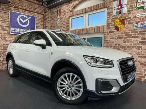 Annonce AUDI Q2 Diesel 2019 d'occasion 