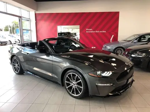 Used FORD MUSTANG Petrol 2019 Ad 