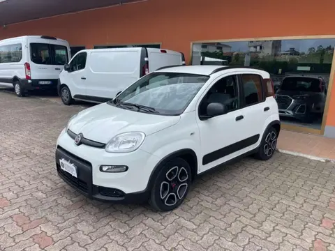 Annonce FIAT PANDA Hybride 2022 d'occasion 