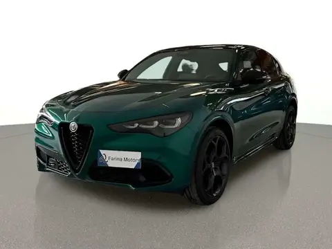 Annonce ALFA ROMEO STELVIO Diesel 2024 d'occasion 