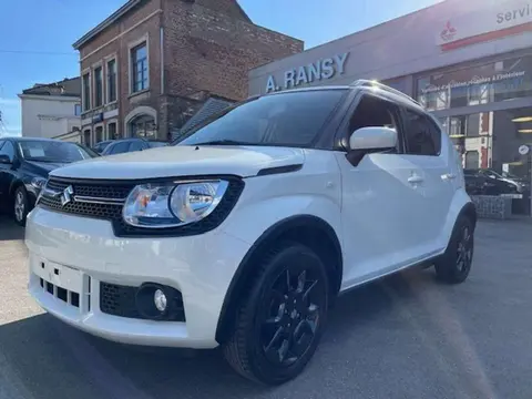 Annonce SUZUKI IGNIS Essence 2018 d'occasion Belgique