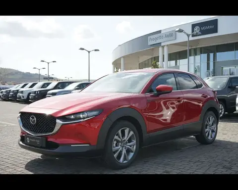 Used MAZDA CX-30 Hybrid 2023 Ad 