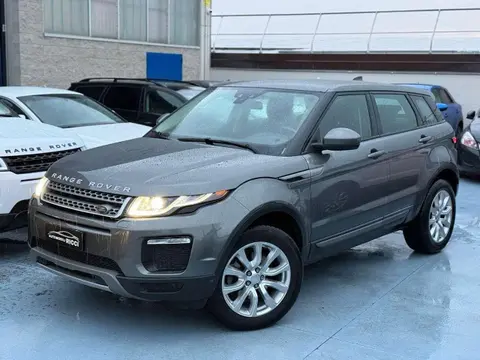 Annonce LAND ROVER RANGE ROVER EVOQUE Diesel 2019 d'occasion 