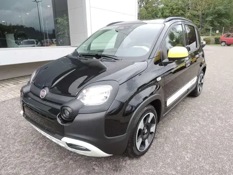 Annonce FIAT PANDA Hybride 2024 d'occasion 