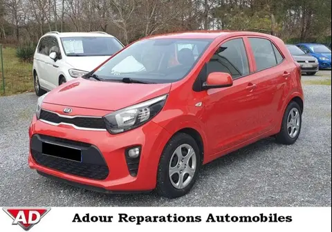 Used KIA PICANTO Petrol 2019 Ad 