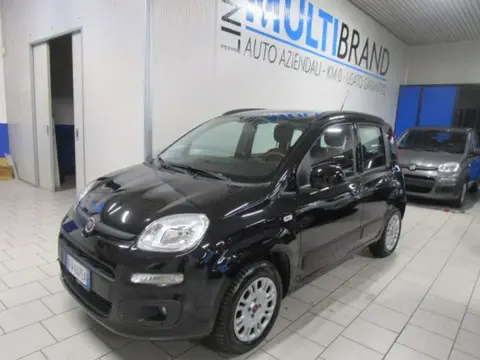 Annonce FIAT PANDA Essence 2019 d'occasion 