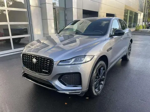 Used JAGUAR F-PACE Hybrid 2024 Ad 