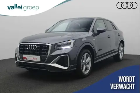 Used AUDI Q2 Petrol 2024 Ad 