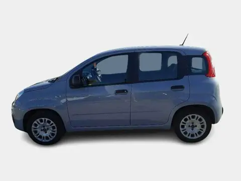 Used FIAT PANDA Petrol 2020 Ad Italy