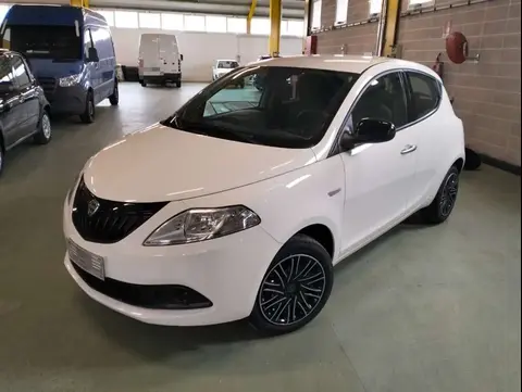 Used LANCIA YPSILON Hybrid 2023 Ad 