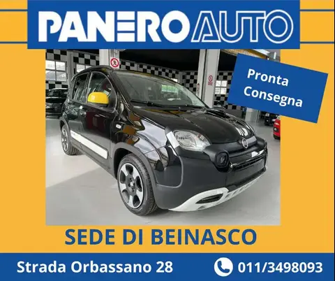 Used FIAT PANDA Hybrid 2024 Ad 