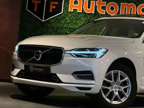 Used VOLVO XC60 Hybrid 2019 Ad 