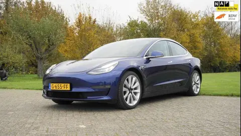 Used TESLA MODEL 3 Electric 2019 Ad 