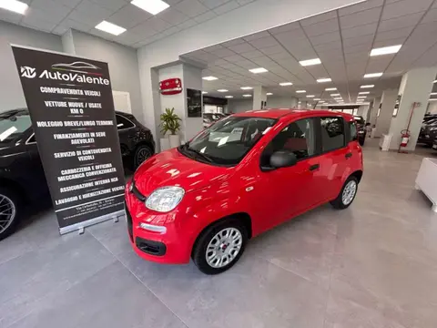 Annonce FIAT PANDA Essence 2019 d'occasion 