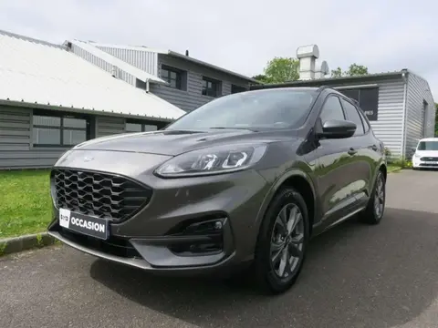 Annonce FORD KUGA  2021 d'occasion 