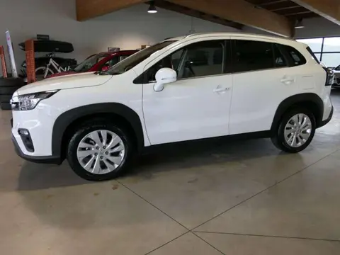 Used SUZUKI S-CROSS Hybrid 2022 Ad 