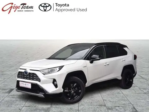 Used TOYOTA RAV4 Hybrid 2019 Ad Belgium